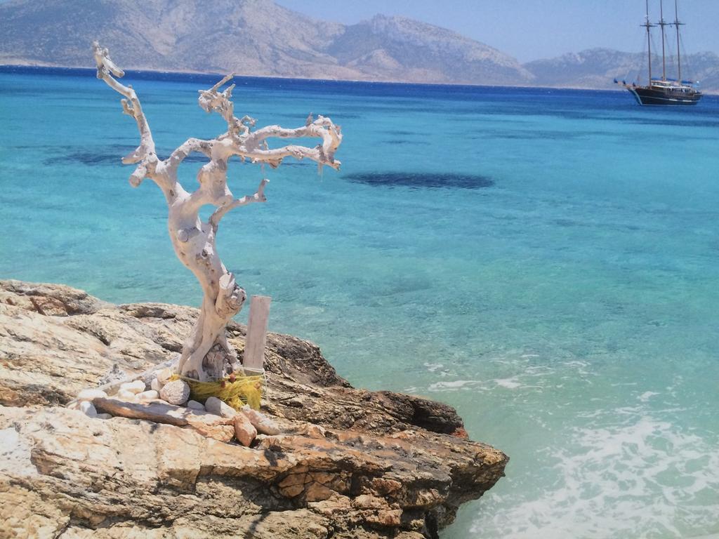 Paros Rooms Dora Værelse billede